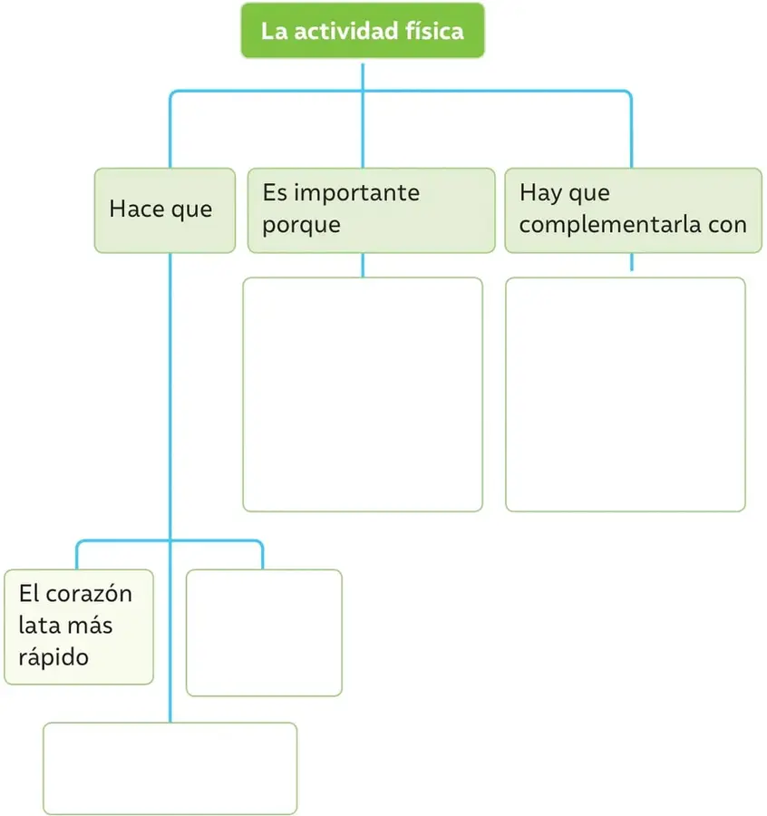Esquema o mapa conceptual en forma de árbol: el recuadro verde 'La actividad física' se ramifica en 'Hace que', 'Es importante porque' y 'Hay que complementarla con', con recuadros vacíos para completar.