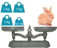 Figura 1 de Matematica 8° · Egb 8 Matematica 2025 · 2025