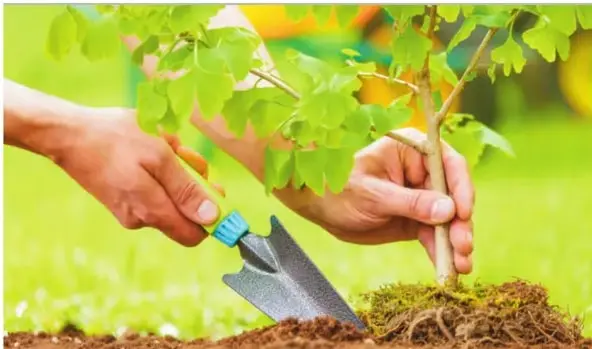 Figura 5 de Emprendimiento Y Gestion 3° · Bgu 3 Emprendimiento Y Gestion 2019 · 2019