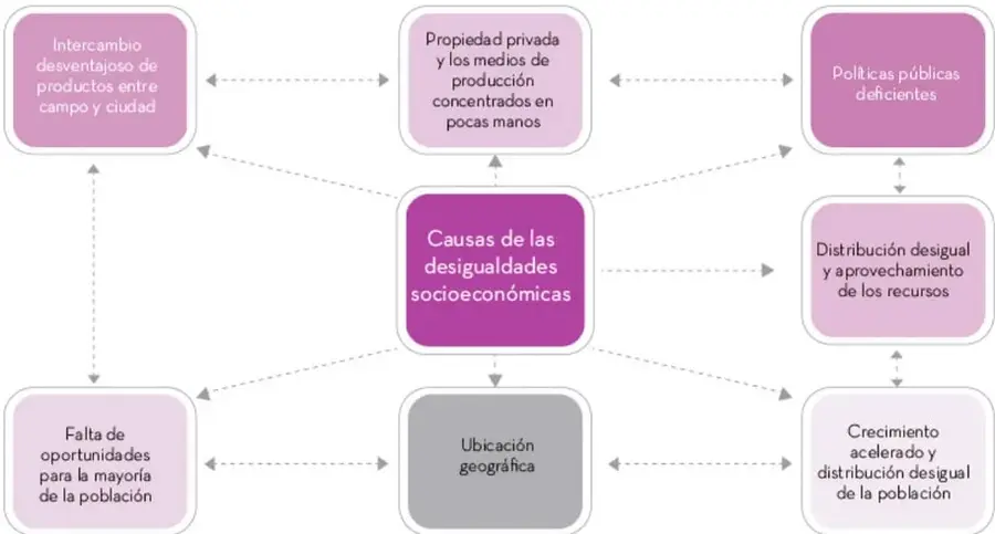 Organizador gráfico con el título 'Causas de las desigualdades socioeconómicas' en el centro, del cual salen flechas hacia siete recuadros que contienen las causas: intercambio desventajoso de productos entre campo y ciudad, propiedad privada y los medios de producción concentrados en pocas manos, políticas públicas deficientes, distribución desigual y aprovechamiento de los recursos, crecimiento acelerado y distribución desigual de la población, ubicación geográfica y falta de oportunidades para la mayoría de la población.