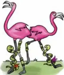 Ilustración de dos flamencos con patas rojas y víboras de coral en el agua.