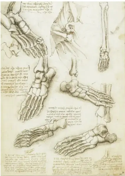 Lámina 'Recto: Los huesos del pie y el hombro. Verso: Las venas y los músculos del brazo' (ca. 1510-1511): dibujos detallados de esqueletos de pies y huesos, con notas manuscritas.
