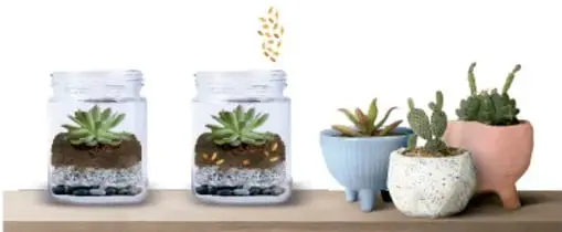 Frascos con capas de sustrato y plantas suculentas, junto a macetas de colores.
