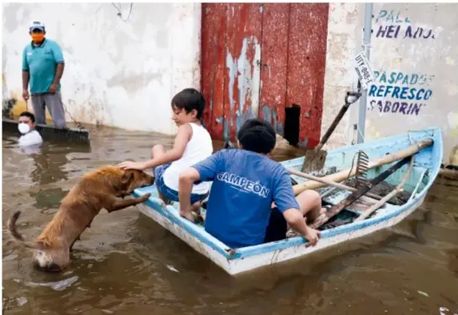 Fotografía de una calle inundada. Varias personas están en una pequeña embarcación de madera; una de ellas lleva una camiseta azul con la palabra 'CAMPECHÓN'. Un perro nada hacia la embarcación. Al fondo, una persona de pie observa y una pared con letreros pintados que dicen 'PAL. HELADOS', 'PASADITAS', 'REFRESCO SABORÍN'. La escena refleja las consecuencias de inundaciones, posiblemente relacionadas con el cambio climático.