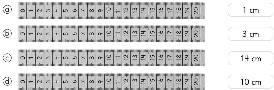 Cuatro reglas graduadas del 0 al 20 cm con etiquetas de medidas en centímetros.