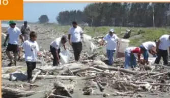 Personas trabajando en un terreno deforestado con troncos y ramas.