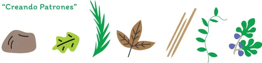 Ilustración de una piedra gris, una hoja verde, una rama de pasto, hojas secas, tres ramitas de madera y una rama con hojas y frutos azules.