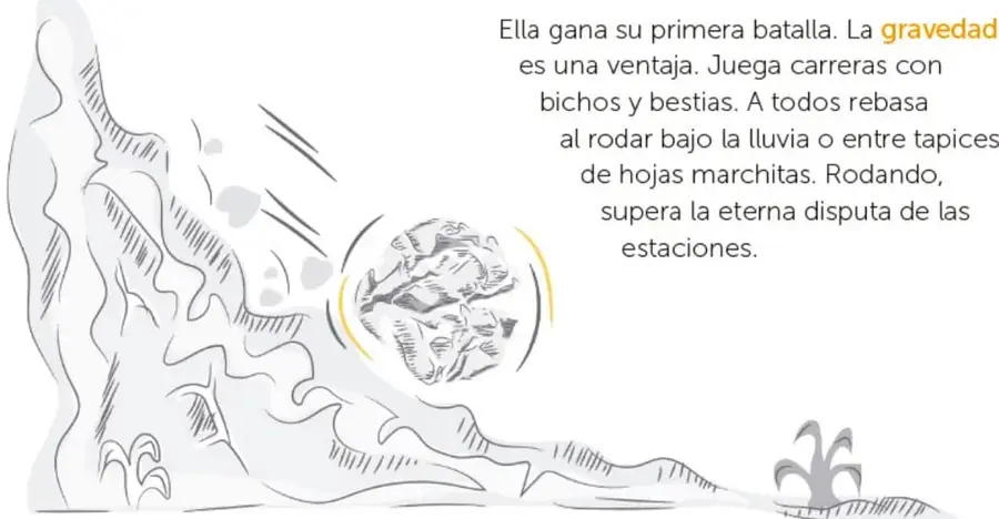 Pendiente o ladera gris con un bulto arrugado que rueda cuesta abajo; abajo, una planta pequeña y hojas.