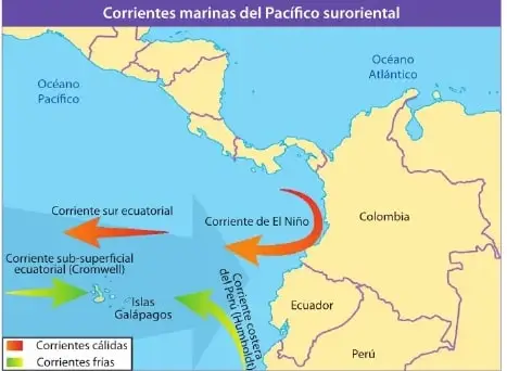Mapa de las corrientes marinas del Pacífico suroriental, con la corriente cálida de El Niño y las corrientes frías de Humboldt y Cromwell.