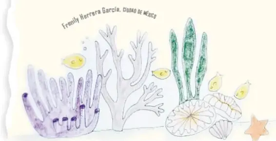 Ilustración de un arrecife de coral con corales morados, algas verdes, conchas y una estrella de mar.
