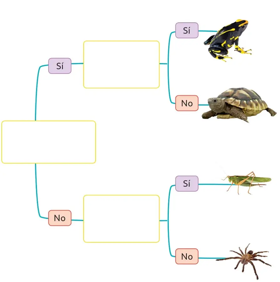 Rana de color negro y amarillo; representa un vertebrado que respira por branquias al nacer.