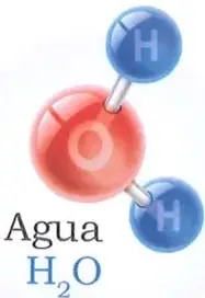 Figura 3 de Ciencias Naturales 7° · 2025