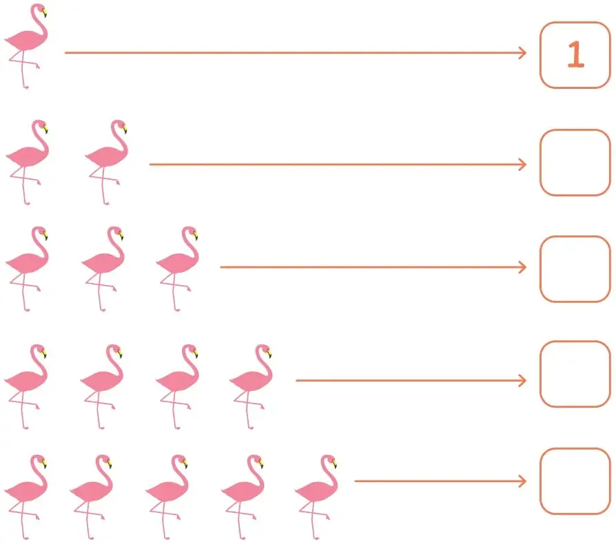 Cinco filas de flamencos rosados. Cada fila tiene 1, 2, 3, 4 y 5 aves respectivamente; a la derecha de cada fila hay una flecha que apunta a un recuadro para escribir el número. El recuadro de la primera fila ya tiene el número 1.