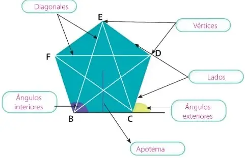 Diagrama de un polígono regular con etiquetas para diagonales, vértices, lados, ángulos interiores, ángulos exteriores y apotema.