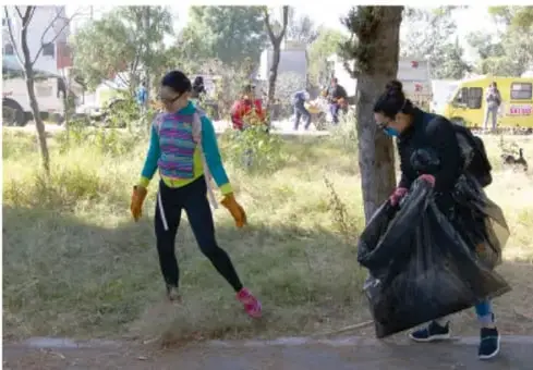 Personas recogiendo basura con guantes y bolsas en un espacio público con árboles, ejemplificando el trabajo colaborativo.