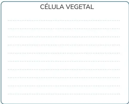 Figura 3 de Biologia 1° · Bgu 1 Biologia 2024 · 2024