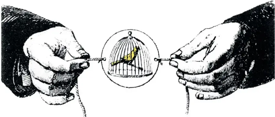 Ilustración de dos manos estirando las cuerdas del taumátropo, mostrando el pájaro dentro de la jaula al girar.