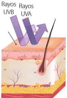 Comparación de la penetración de los rayos UVA y UVB en la epidermis, dermis e hipodermis, con y sin protector solar.