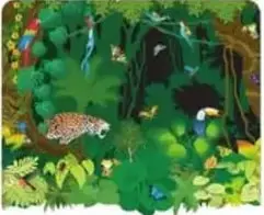 Ilustración de selva tropical con jaguar, tucán y vegetación densa.