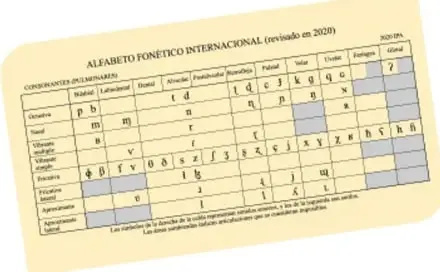 Recuadro con el Alfabeto Fonético Internacional (revisado en 2020): tabla de símbolos consonánticos y vocálicos con ejemplos de pronunciación.