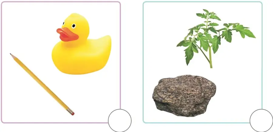 Pato de juguete amarillo de goma con una línea circular debajo y un lápiz de madera; son objetos no vivos.