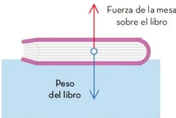 Diagrama de un libro sobre una mesa con dos flechas: una roja hacia arriba etiquetada 'Fuerza de la mesa sobre el libro' y una azul hacia abajo etiquetada 'Peso del libro'.