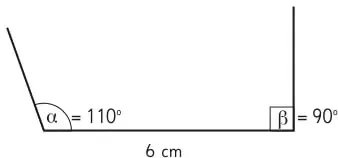 Triángulo con ángulos 110° y 90° y lado 6 cm.