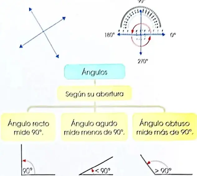 Figura 6 de Matematica 4° · 2025