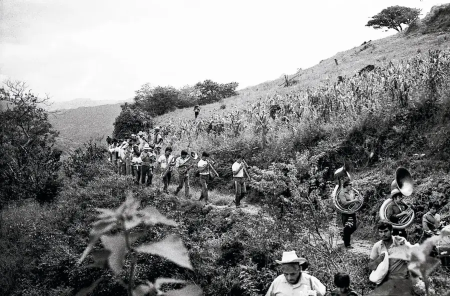 Fotografía de una comitiva de músicos con instrumentos (trompetas, tubas) caminando por un sendero entre la vegetación de la sierra, con una milpa y un cerro al fondo.