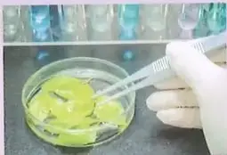Figura 2 de Ciencias Naturales 10° · 2025