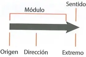 Figura 3 de Ciencias Naturales 8° · Egb 8 Ciencias Naturales 2025 · 2025