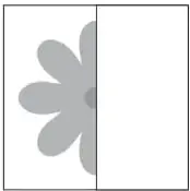 Media flor con pétalos hacia la izquierda, eje vertical a la derecha.