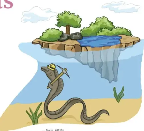 Anguila con casco y pico que cava en la arena junto a una isla flotante con lago, árboles y raíces que cuelgan hacia el agua.