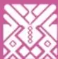 Ornamento gráfico de la colección Ximhai con motivos geométricos prehispánicos en color magenta sobre fondo blanco.