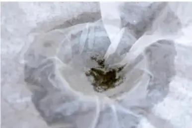Filtración de la mezcla con un colador forrado con tela o papel, sobre el que se ven partículas sólidas oscuras.