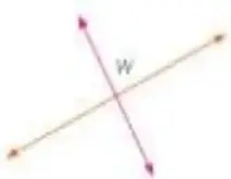Figura 4 de Matematica 5° · Egb 5 Matematica 2025 · 2025