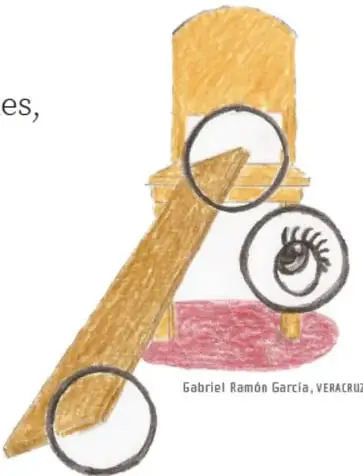 Ilustración de una tabla usada como rampa apoyada en una silla, con círculos resaltando puntos de observación. Crédito: Gabriel Ramón García, Veracruz.