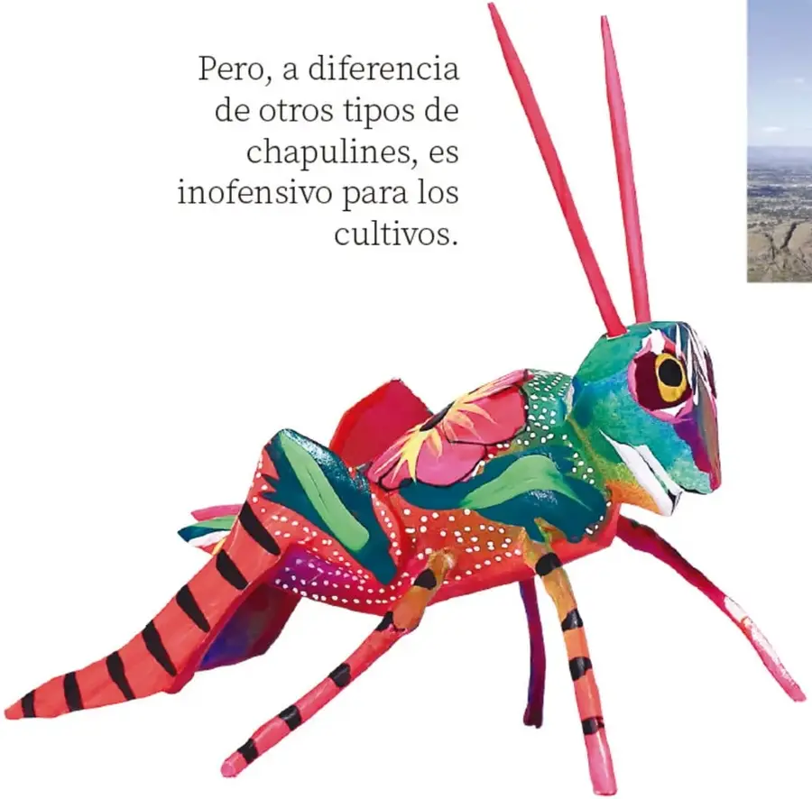 Ilustración de un chapulín colorido con patrones y colores vivos.