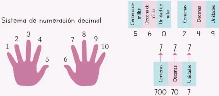 Dos manos abiertas con los dedos numerados del 1 al 10, representando el sistema de numeración decimal base 10.