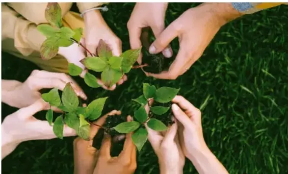 Fotografía de varias manos de niños y niñas sosteniendo plántulas verdes sobre el pasto, simbolizando el cuidado comunitario de la naturaleza.