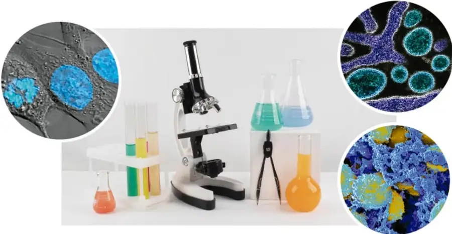 Microscopio óptico de laboratorio rodeado de tubos de ensayo, matraces y pinzas.