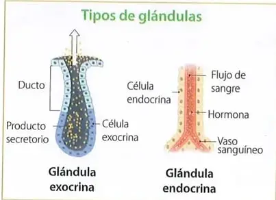 Figura 3 de Ciencias Naturales 10° · 2025