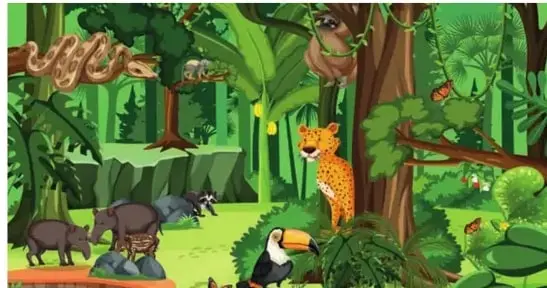 Ilustración de animales de la jungla: serpiente, tapir, mono, jaguar y tucán.