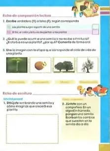 Muestra actividades de competencia comunicacional y una ficha de comprensión lectora.