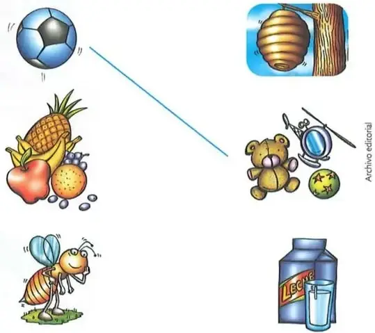 Se muestran una pelota, frutas y una abeja en el lado izquierdo; una colmena, un oso de peluche con una pelota y una botella de leche en el lado derecho.