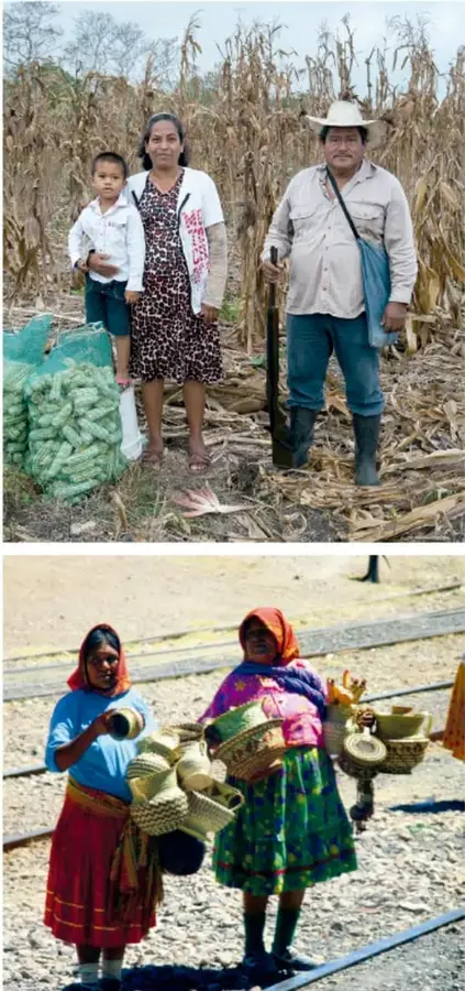 Familia campesina de pie en un campo de milpa seca; el hombre lleva sombrero y una herramienta de labranza; hay costales con mazorcas de maíz.