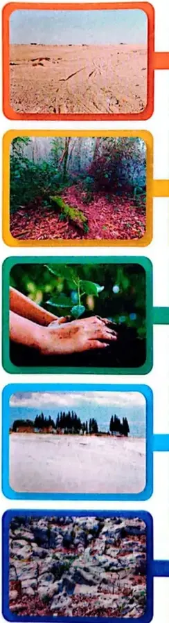 Recuadro de Interculturalidad sobre comunas de agricultores afroesmeraldeños que elaboran compost.