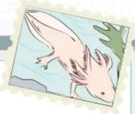 Ilustración de un brazo sosteniendo un refugio o casa pequeña