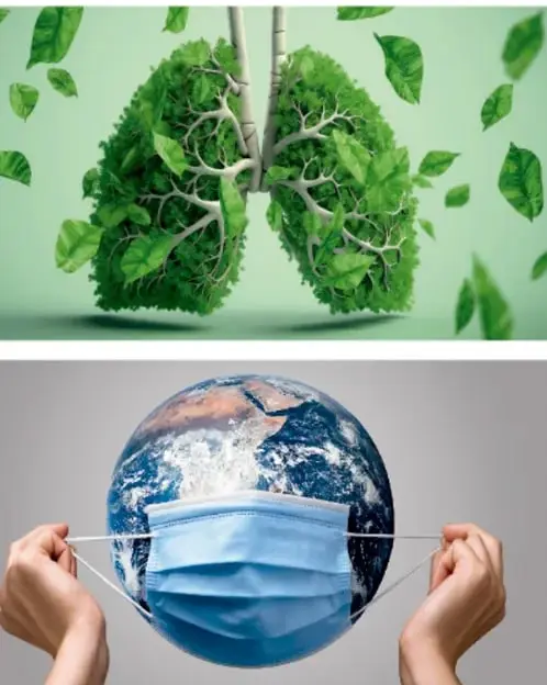 Pulmones humanos formados por hojas y ramas de un árbol verde, con hojas flotando alrededor; metáfora visual de la relación entre naturaleza y respiración.