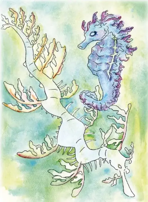 Acuarela de dos caballitos de mar, uno morado y uno casi transparente con tonos amarillos, entre ramas de coral; representan las criaturas de la pecera de Nina. Crédito vertical: María Victoria Pérez Velázquez, Estado de México.